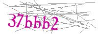 Visual Verification