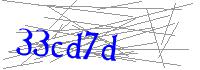 Visual Verification