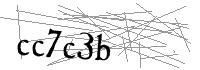 Visual Verification