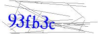 Visual Verification