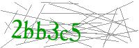 Visual Verification