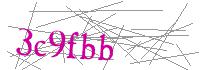 Visual Verification