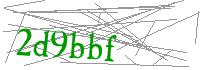 Visual Verification