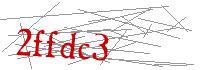 Visual Verification
