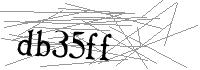 Visual Verification