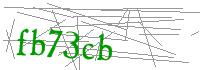 Visual Verification