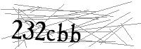 Visual Verification