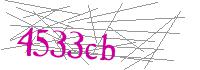 Visual Verification