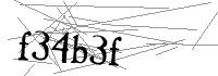 Visual Verification
