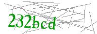Visual Verification