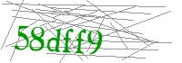 Visual Verification