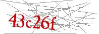 Visual Verification