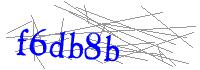 Visual Verification