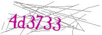 Visual Verification