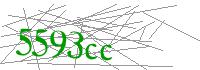 Visual Verification