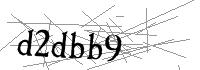 Visual Verification