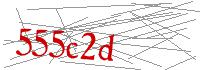 Visual Verification