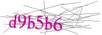 Visual Verification
