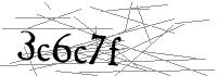 Visual Verification
