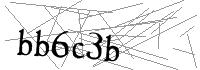 Visual Verification