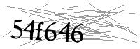 Visual Verification