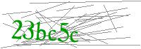 Visual Verification