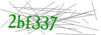 Visual Verification