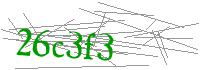 Visual Verification