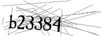 Visual Verification