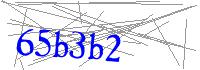 Visual Verification