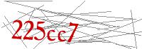 Visual Verification