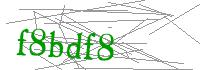 Visual Verification