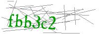 Visual Verification