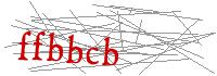 Visual Verification