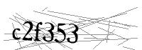 Visual Verification