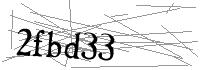 Visual Verification