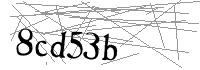 Visual Verification