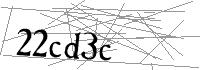 Visual Verification