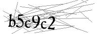 Visual Verification
