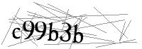 Visual Verification