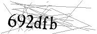 Visual Verification