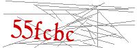 Visual Verification