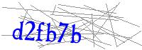 Visual Verification