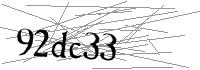 Visual Verification
