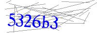 Visual Verification