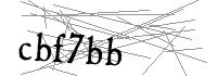 Visual Verification