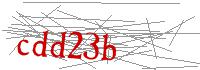 Visual Verification