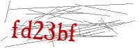 Visual Verification