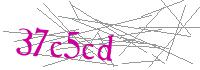 Visual Verification