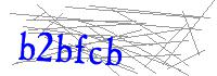 Visual Verification